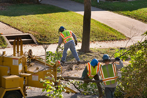 Lawn Drainage Solutions in Lone Oak, TN